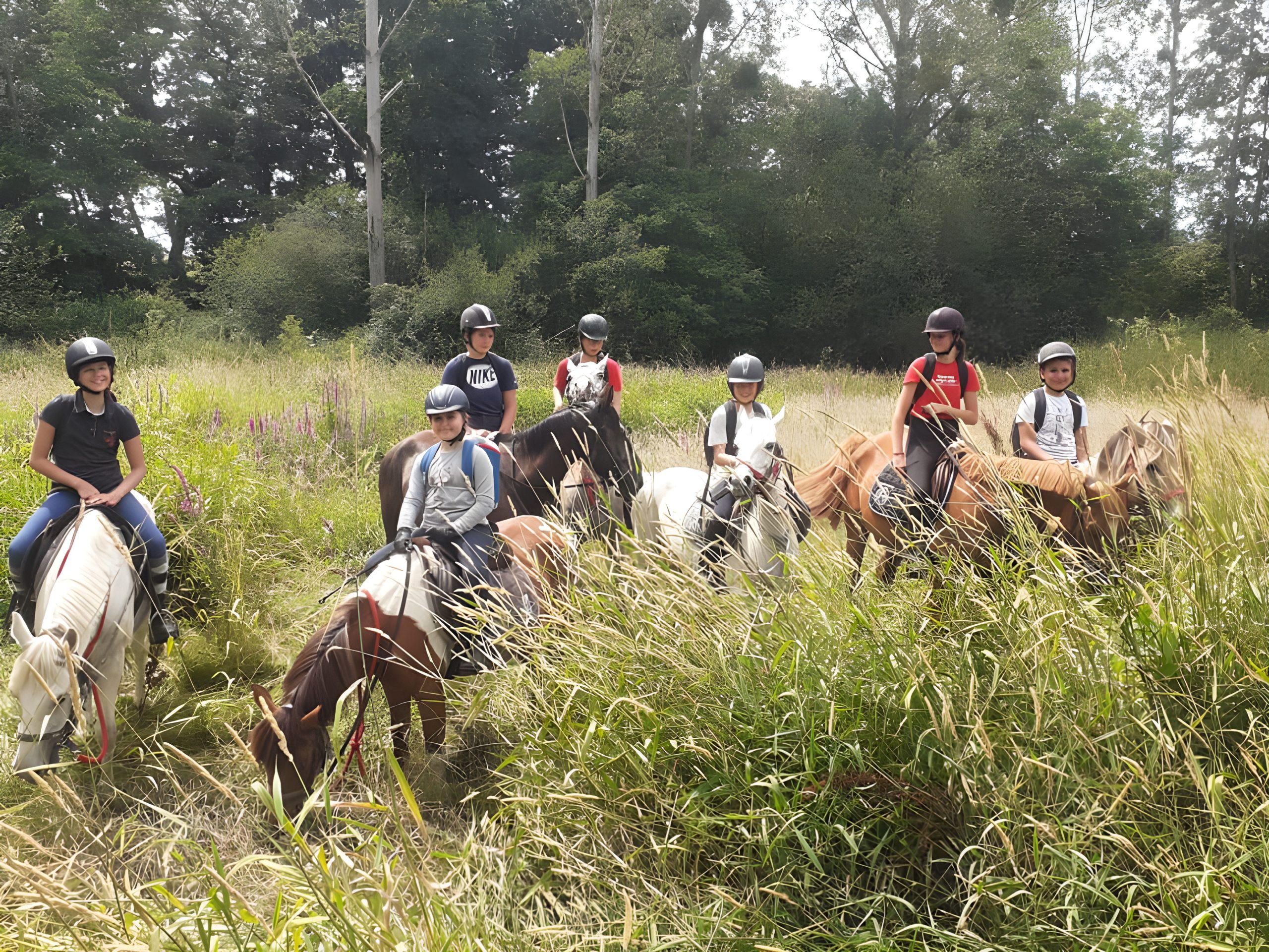 Cours d'équitation écuries de Neveztell Cours d'équitation écuries de Neveztell