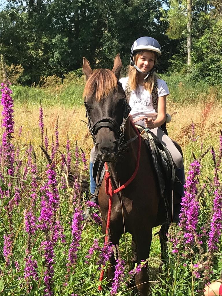 écuries de neveztell, centre equestre rennes