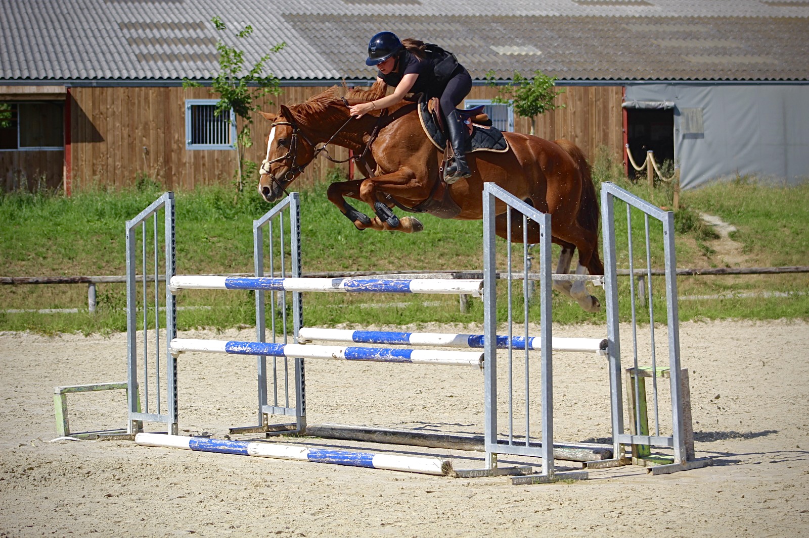 écuries de neveztell - écuries de propriétaires rennes