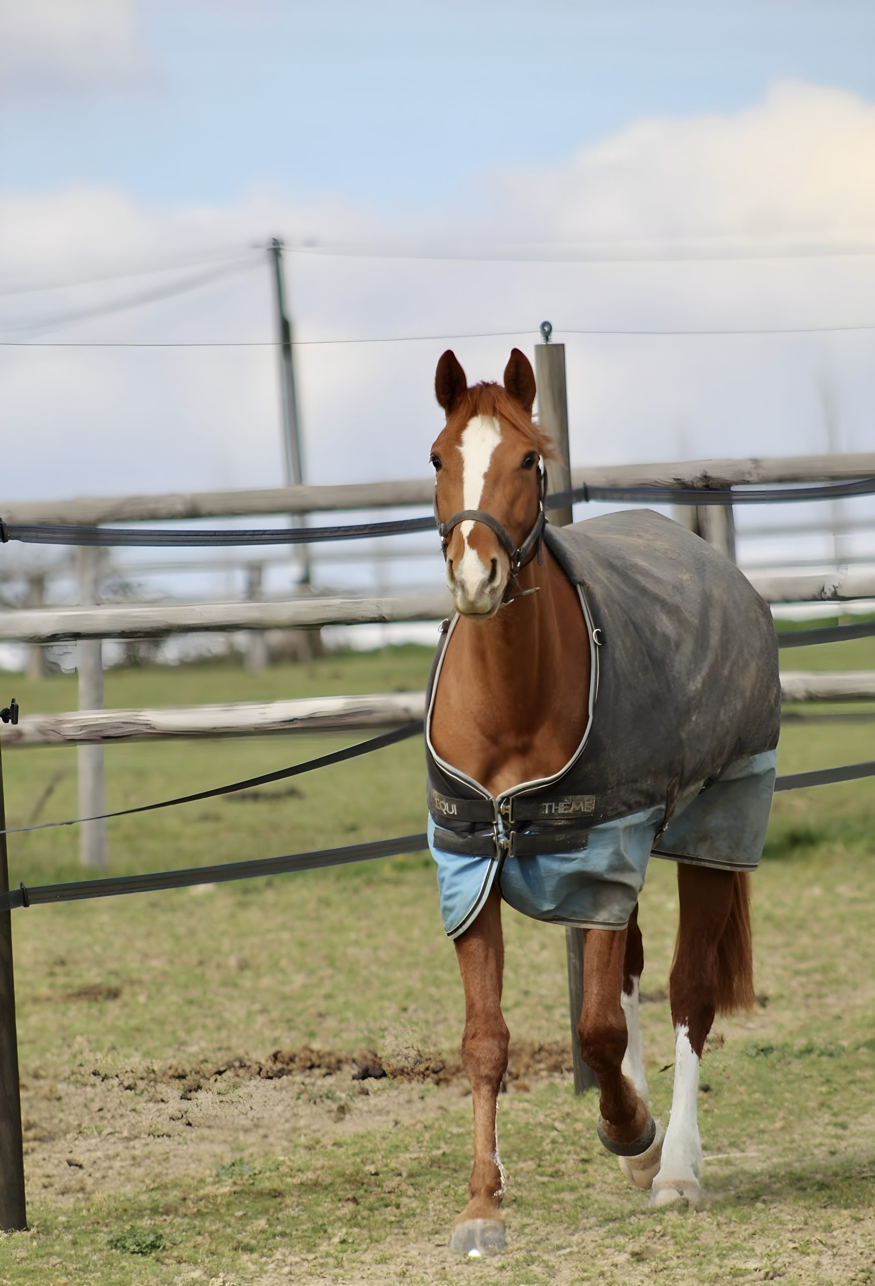 écuries de neveztell rennes