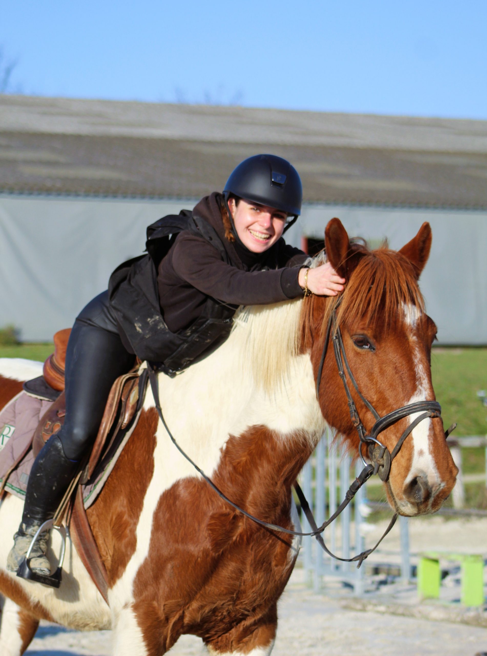 écuries de neveztell, centre equestre rennes