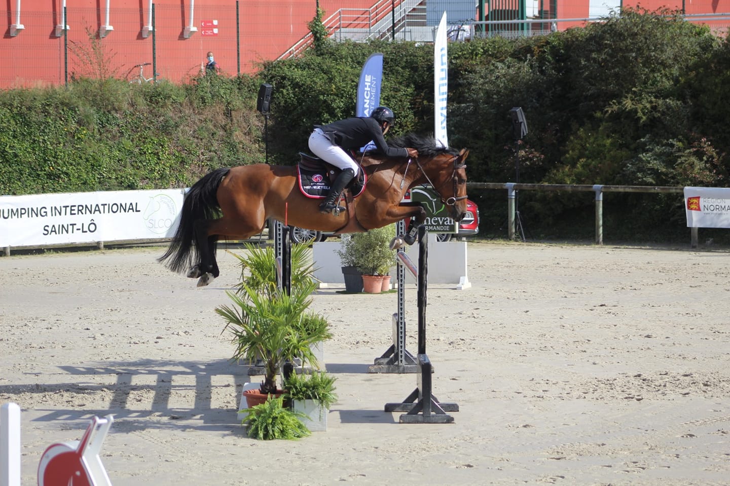Capsaicine de Castel et Laurent Ghiragossian