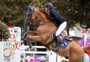 Django de Neveztell - Elevage Neveztell rennes