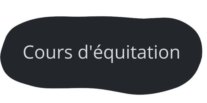 Cours d'équitation