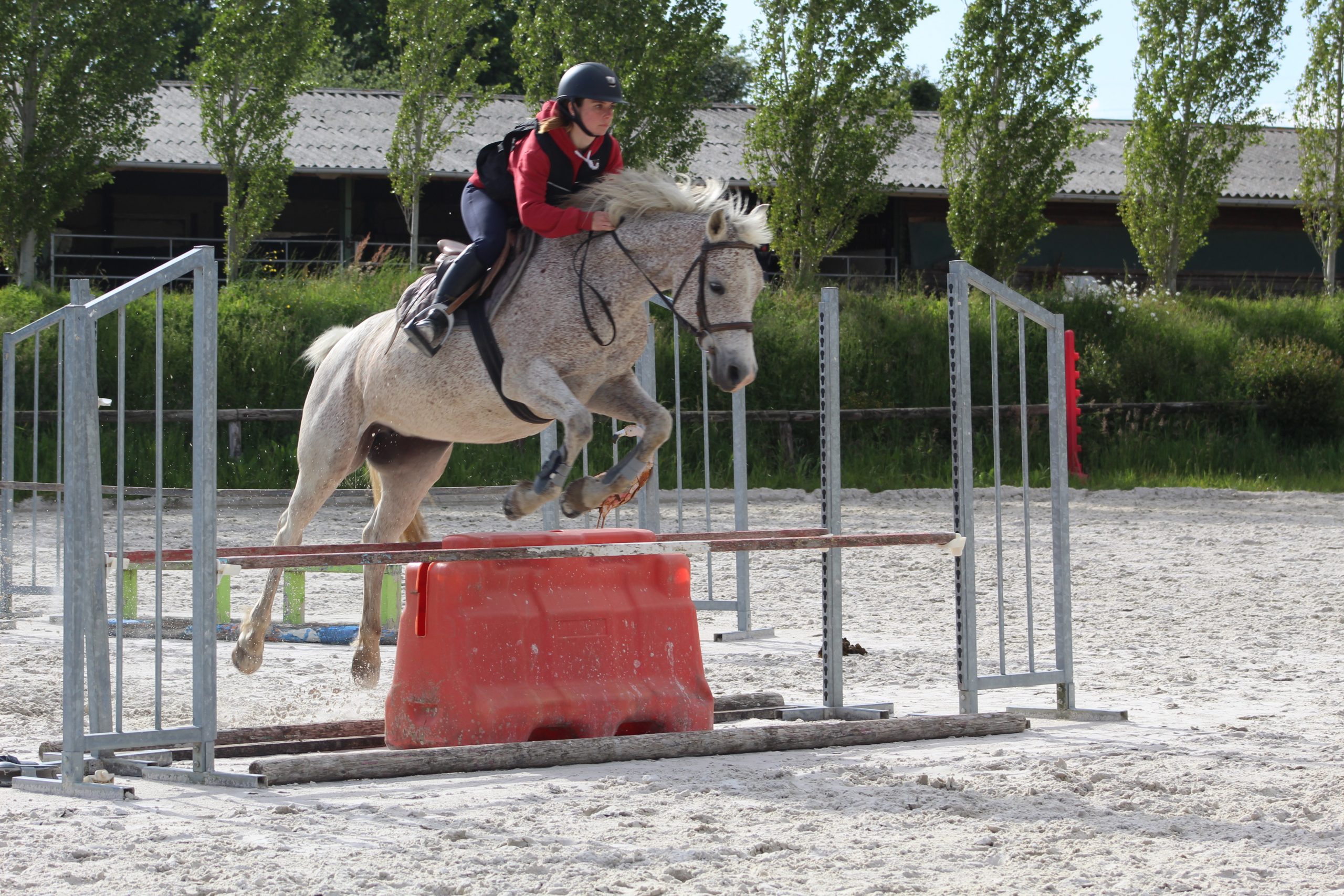 Cours d'équitation écuries de Neveztell Cours d'équitation écuries de Neveztell