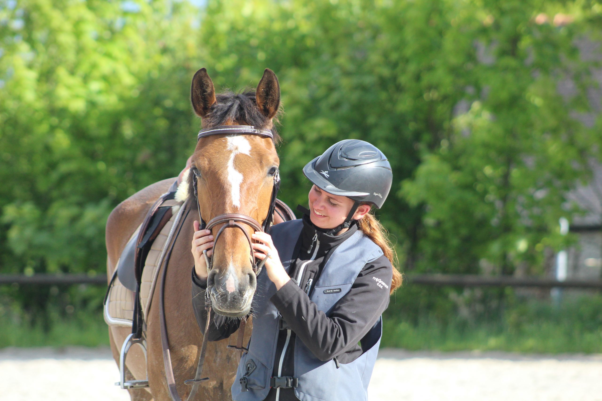écuries de neveztell, centre equestre rennes