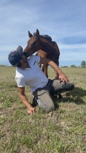 Made In Neveztell et Laurent Ghiragossian