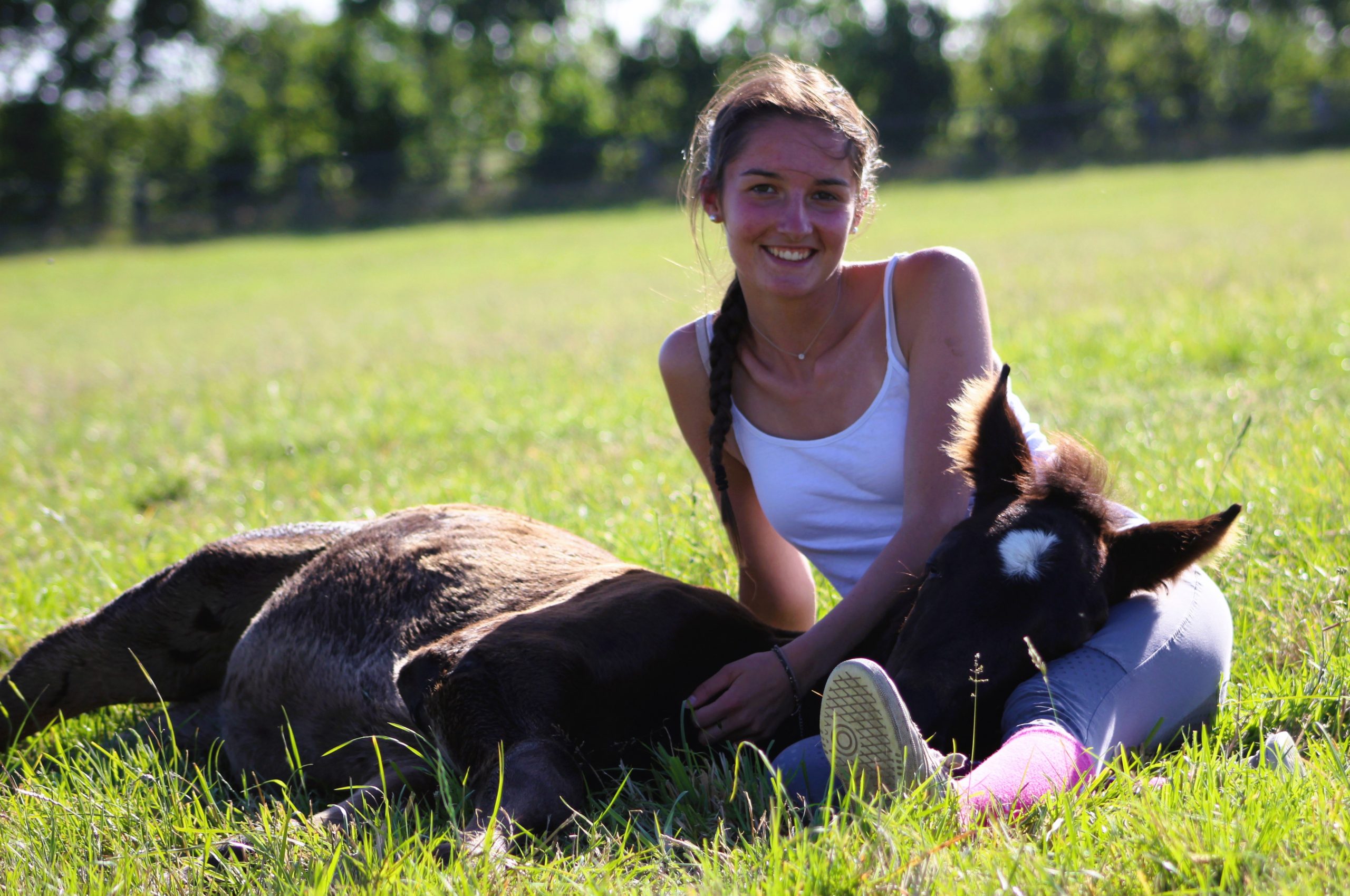 Élevage des écuries de Neveztell