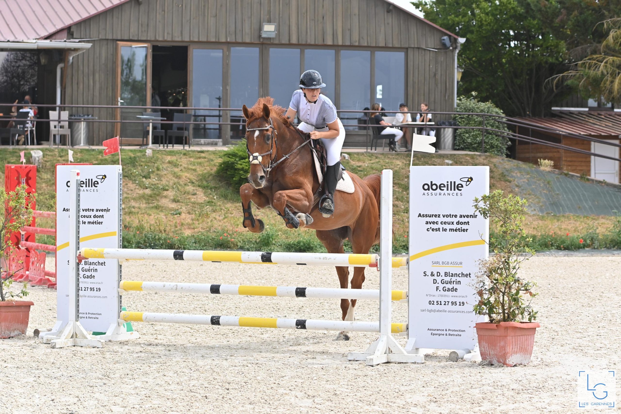 écuries de neveztell - écuries de propriétaires rennes