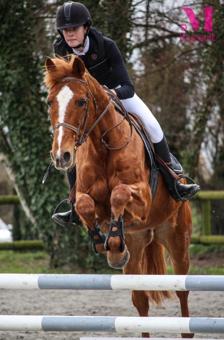 Cours d'équitation écuries de Neveztell Cours d'équitation écuries de Neveztell