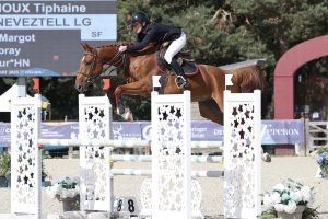 Kartoon Neveztell LG - Elevage Neveztell (Qlassic Bois Margot x Elan de la Cour)