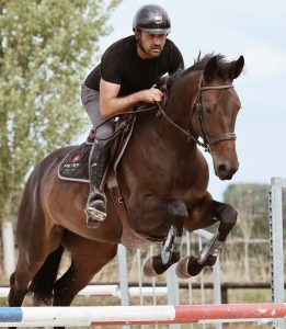 Koweit Neveztell LG - Elevage Neveztell (Candy de Nantuel x Untouchable M)