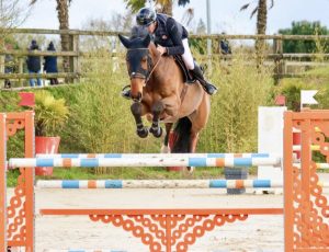 Hermes de Neveztell - Elevage Neveztell (Rodéo de Baugy x Chef Rouge)