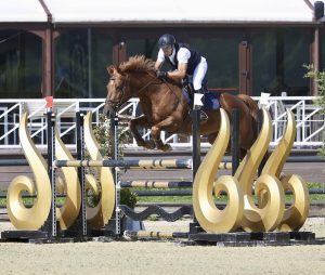 Jackpot Neveztell - Elevage Neveztell (Eldorado d'Elle x Rodéo de Baugy)
