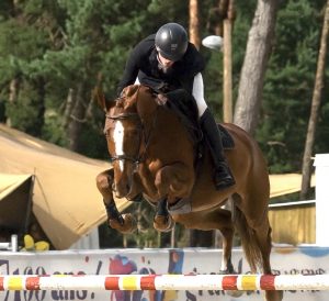 Komet Neveztell LG - Elevage Neveztell (Diamant de Semilly x Vagabond de la Pomme)