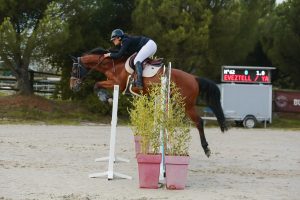 Lord Neveztell LG - Elevage Neveztell (El Baron 111 Z x Untouchable M)