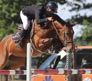 Forever de Neveztell - Elevage Neveztell (Ultimo Van Ter Moude x Chef Rouge)